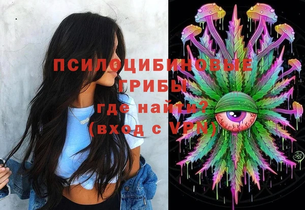 МДПВ Бородино