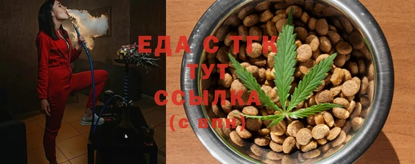 МДПВ Бородино