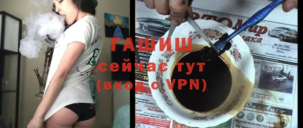 МДПВ Бородино