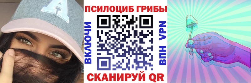 что такое наркотик  Калининец  Псилоцибиновые грибы мицелий 