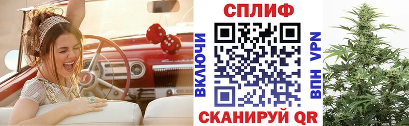 Конопля план  Калининец 